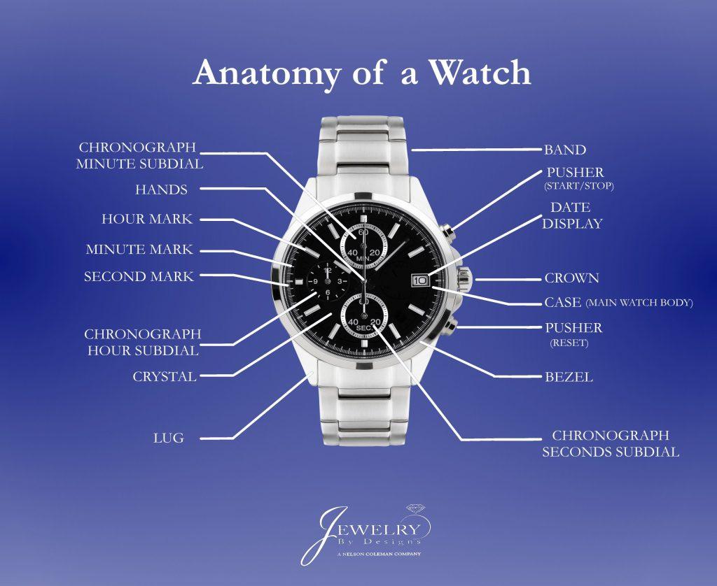 A chart titled "Anatomy of Watch" with a silver chronometer and lines showing the names for each part with a gradient blue background.